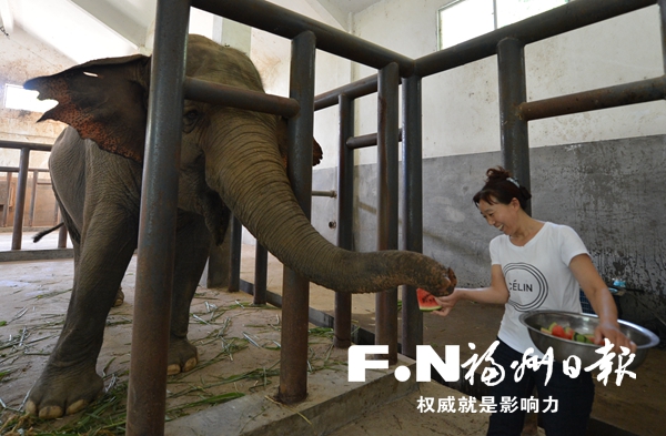 夏天商场避暑好去处,商场纳凉好去处附近