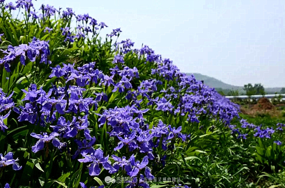 钻石原生矿和次生矿有什么区别,原生矿产生的钻石