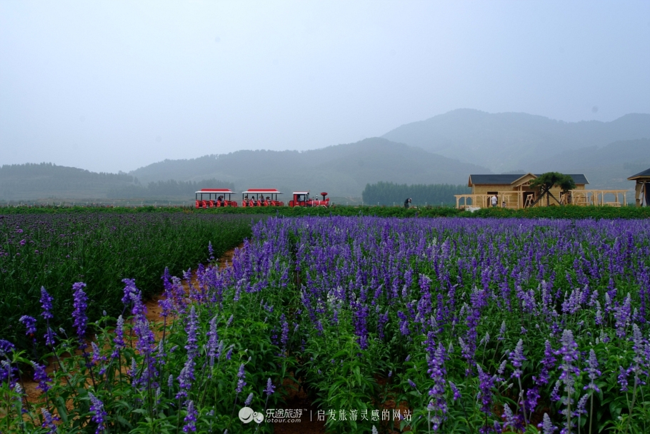 钻石原生矿和次生矿有什么区别,原生矿产生的钻石