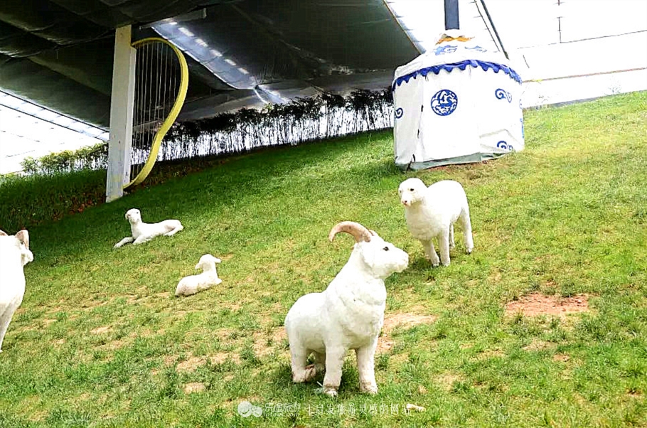 钻石原生矿和次生矿有什么区别,原生矿产生的钻石