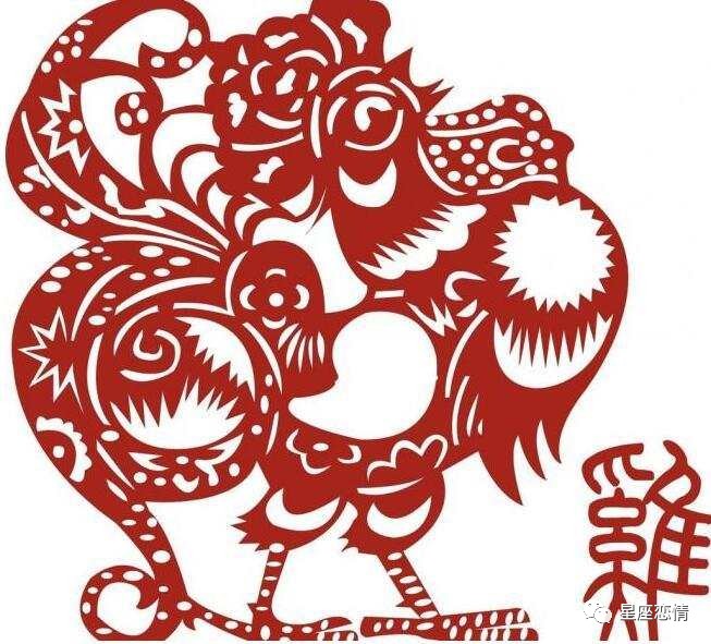 最适合创业的生肖,适合创业的生肖女