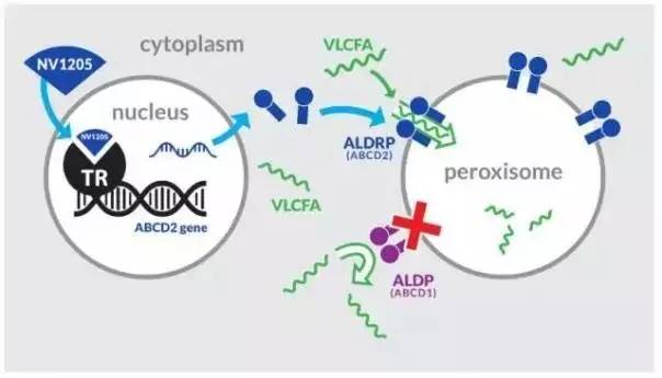 这一周，POCT领域新增一家上市公司，肿瘤NGS和液体活检领域新增一笔巨额融资