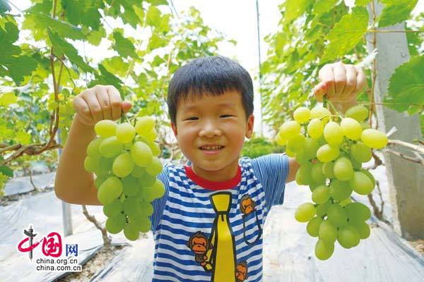 江苏全域旅游示范区,徐州贾汪打造全域旅游示范区