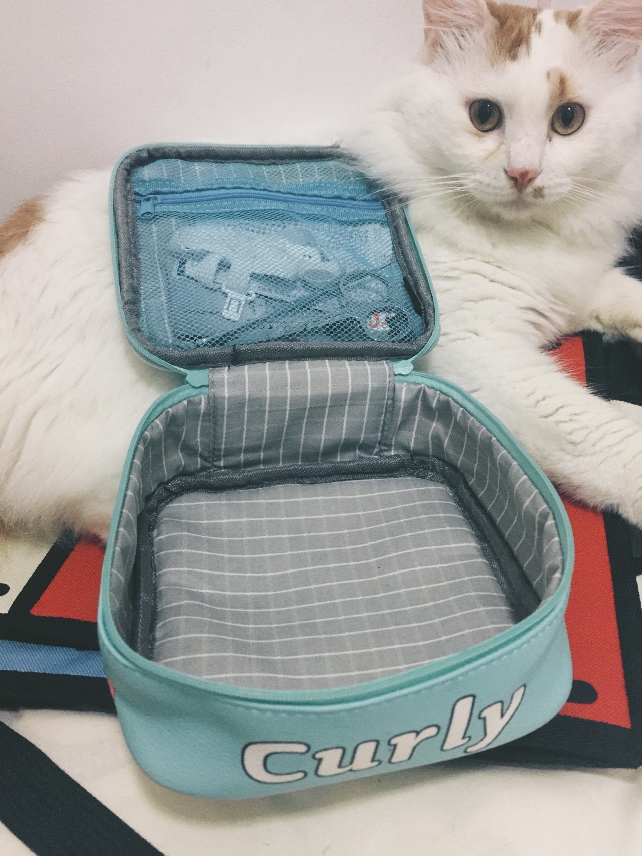 提升生活幸福感的百元小物件,一些提高生活品质的小物品