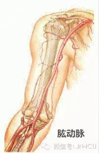 护士动脉采血操作教学,护士动脉采血操作考试视频