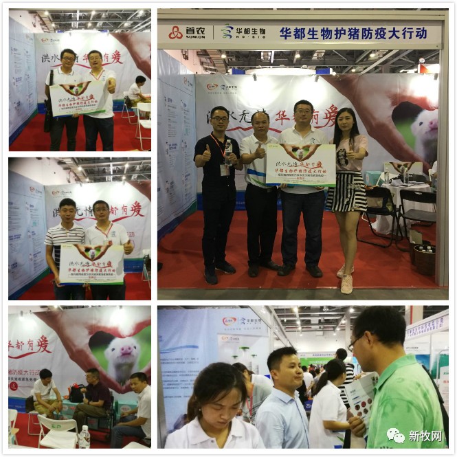 赞!华都生物疫苗免费送,江西首日惠及三千多头母猪