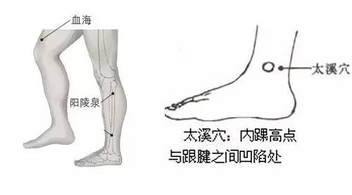 奶水是气血生成的吗,气血补上来奶水就多吗