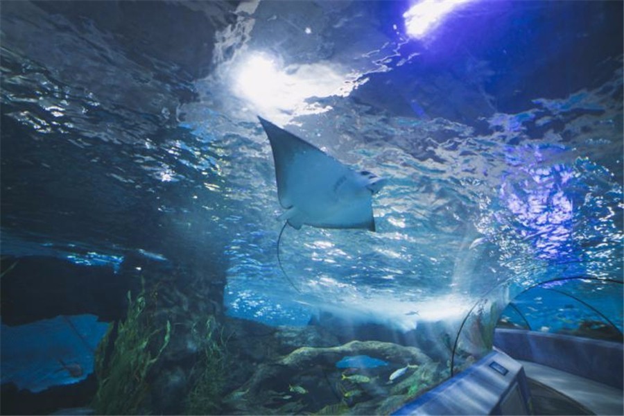 重庆夏季免费耍水地方推荐,重庆区县玩水的避暑胜地