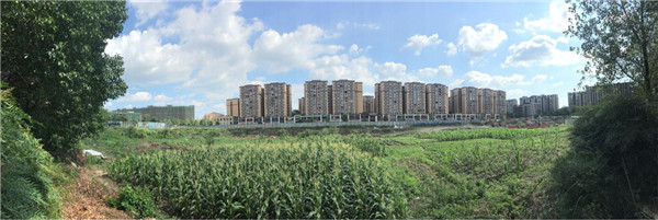 成都双流东升土拍最新,双流最新土拍信息