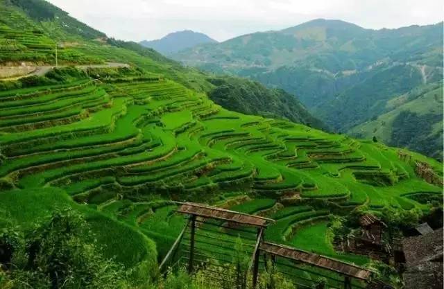 资讯丨“清凉大礼包”送到广西，去贵州享受23℃的夏天，过路费门票统统半价！