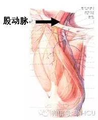 护士动脉采血操作教学,护士动脉采血操作考试视频