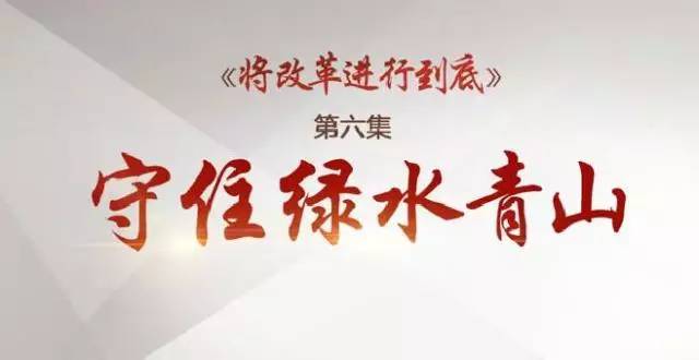 检察机关全力守护绿水青山,守护绿水青山检察官