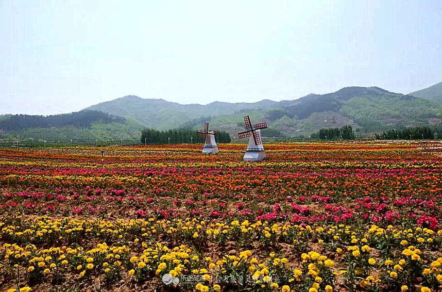 钻石原生矿和次生矿有什么区别,原生矿产生的钻石