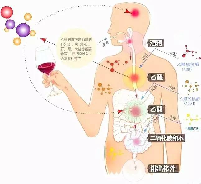 奥克功效与作用,奥克可以护胃吗