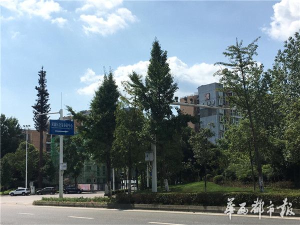 成都双流东升土拍最新,双流最新土拍信息