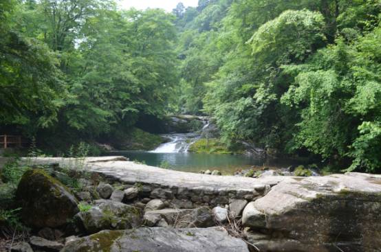 2023年南郑县书画大赛征稿,汉中南郑采风