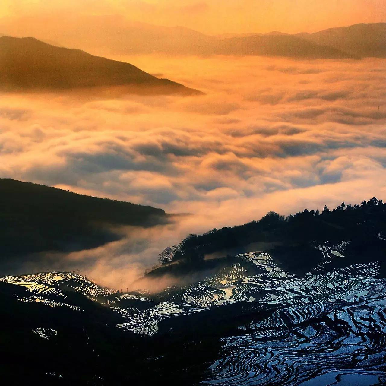 厉害了泉州全国前十,厉害了福建省