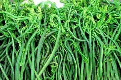 不服丨在淘宝搜宁夏，出来的竟是……其实我们的好东西何止这些？