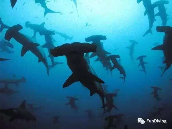 船宿推荐及价格,船宿推荐