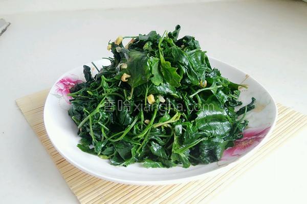 野菜灰灰菜的做法大全,东北野菜灰菜