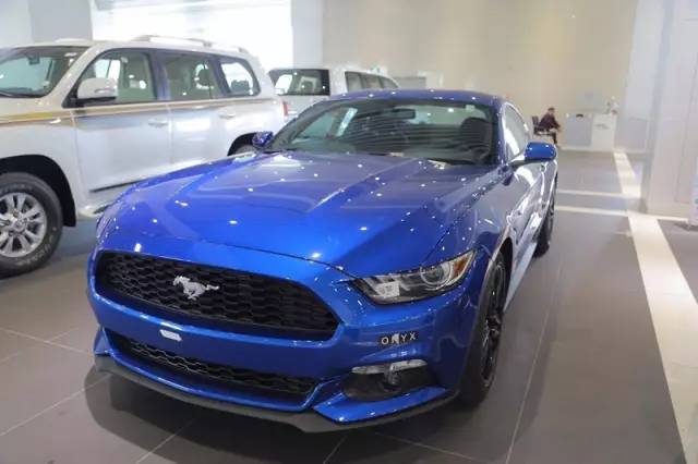 借自贸东风，金普这里火啦！买*口车进**优惠大，还能“点单订制”！