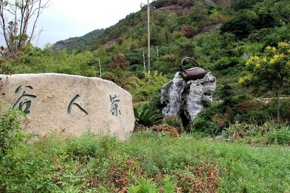 舟山开挂！三年后在舟山生活将变成这样……