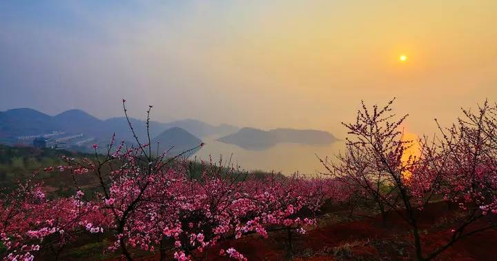 舟山开挂！三年后在舟山生活将变成这样……