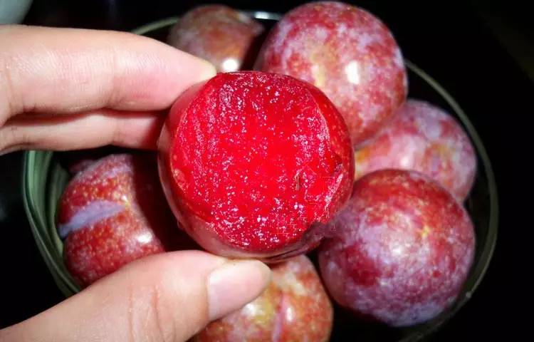 舟山开挂！三年后在舟山生活将变成这样……