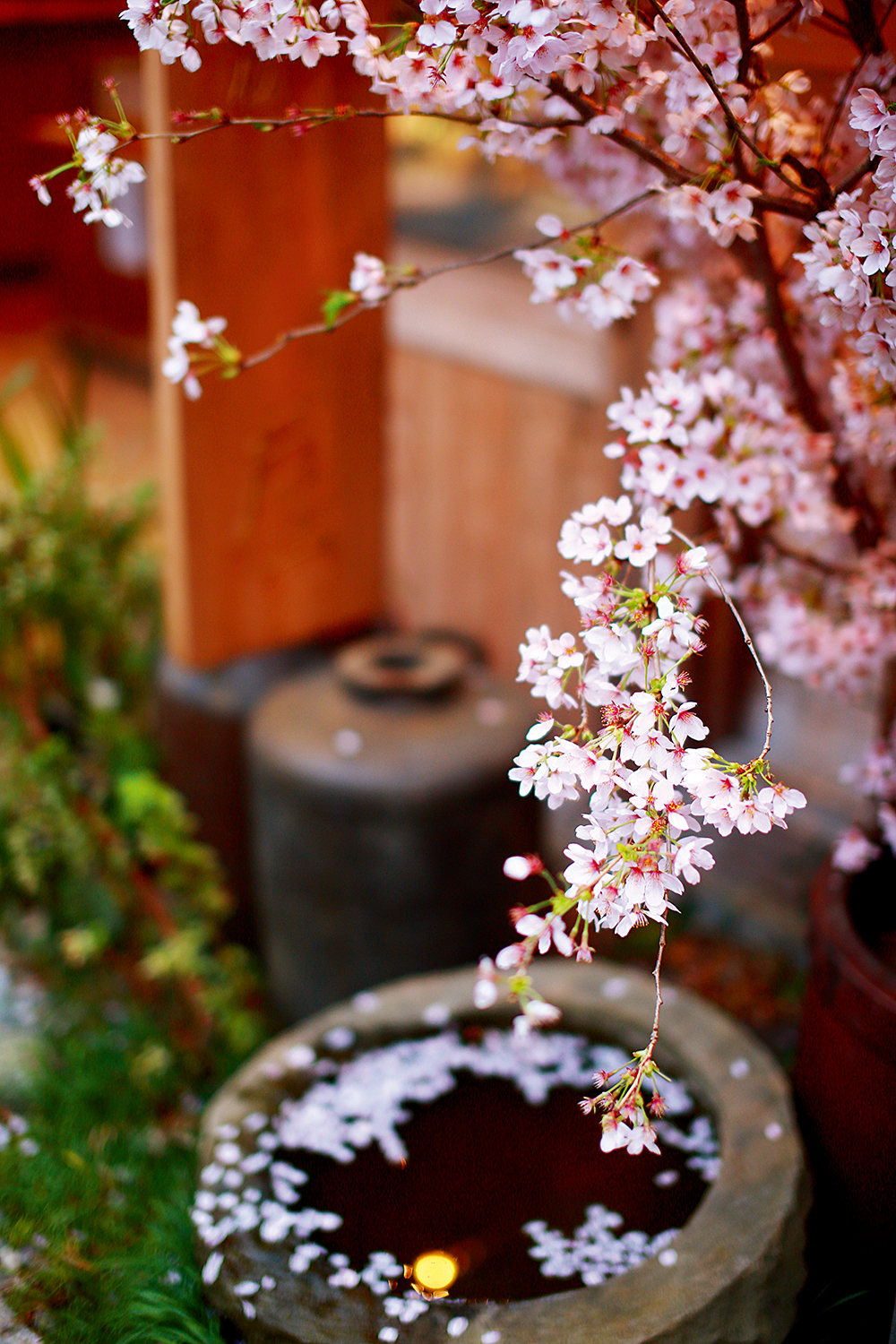 佳能eos760d怎么调整参数,佳能eos760d和700d区别