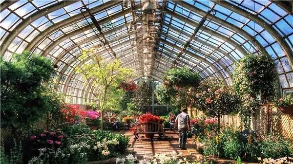 linkinpark主唱为什么自缢,林肯公园主唱去世前录像曝光