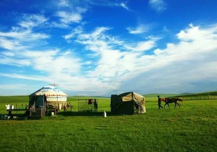 不是每个牛奶都叫特仑苏原视频,大草原牛奶特仑苏