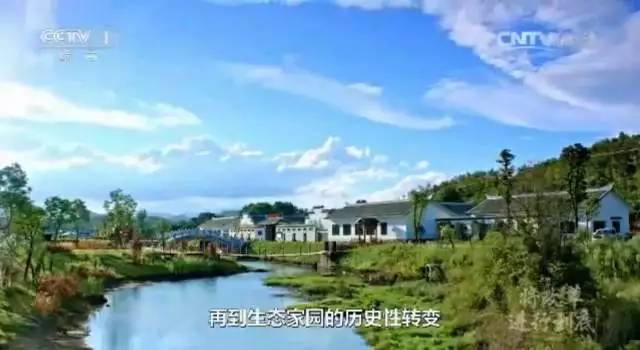 检察机关全力守护绿水青山,守护绿水青山检察官