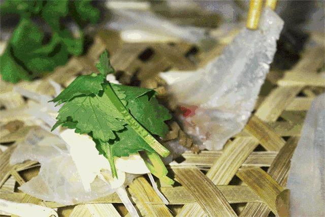 热炸天的夏天,南宁避暑攻略