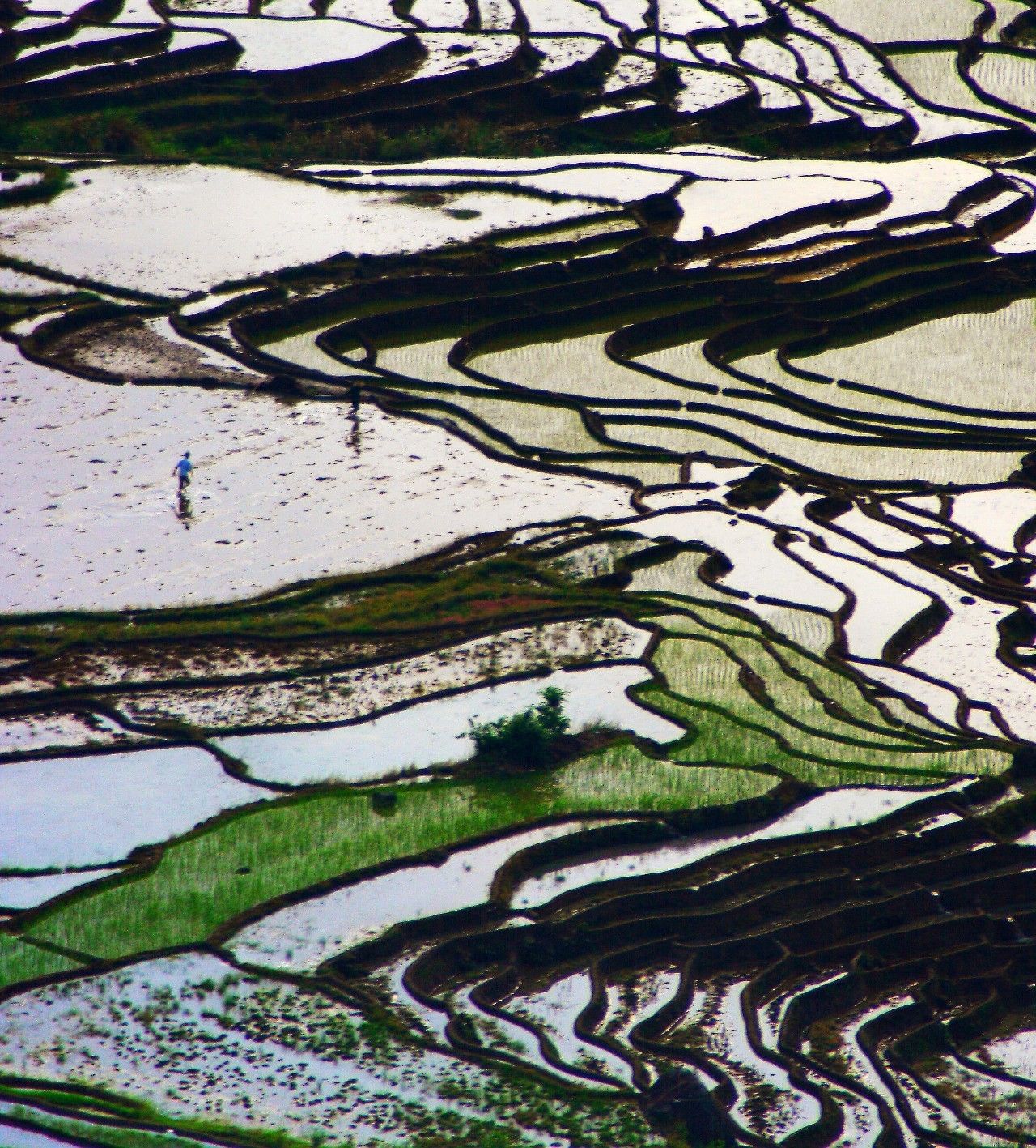 厉害了泉州全国前十,厉害了福建省