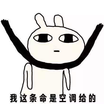 淳安海拔最高民宿,浙江海拔1000米以上的民宿