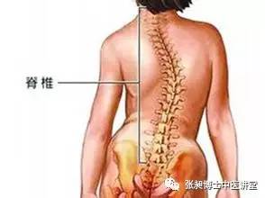 小针刀治疗脊柱侧弯,脊柱侧弯小针刀可以治愈吗