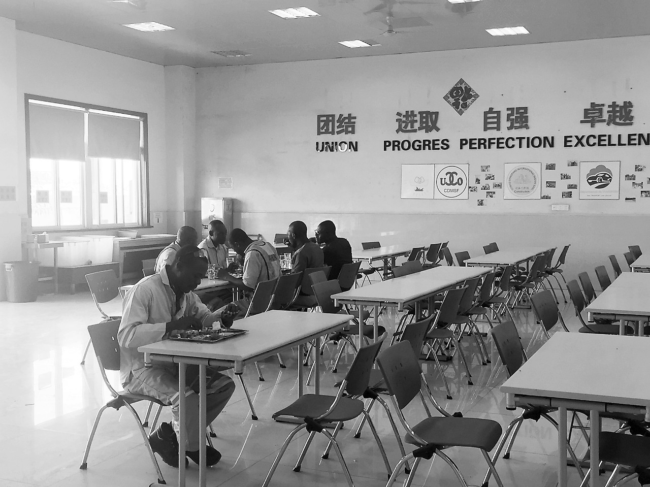 在刚果金的电台里听《死了都要爱》,是怎样的感受?