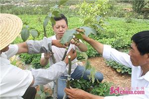 烟大学子三下乡纪录片,烟大学子