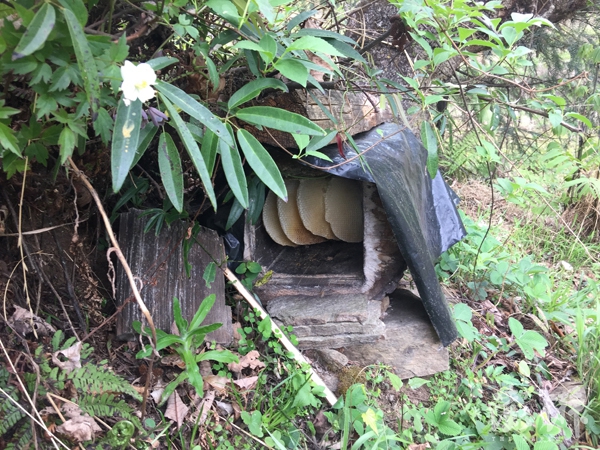 翼虎·山河·寻路胡焕庸线上的中国｜玉龙县：电商上下求索