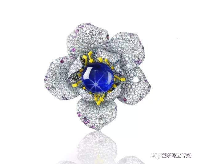 18亿全球最大星光蓝宝石 (价值1亿美元的神秘星光蓝宝石)