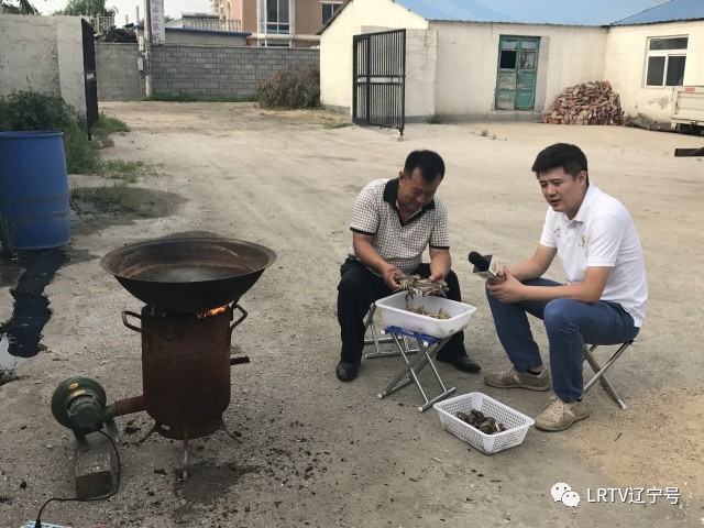 辽宁营口北海风景区,营口北海风景区之旅感受与收获
