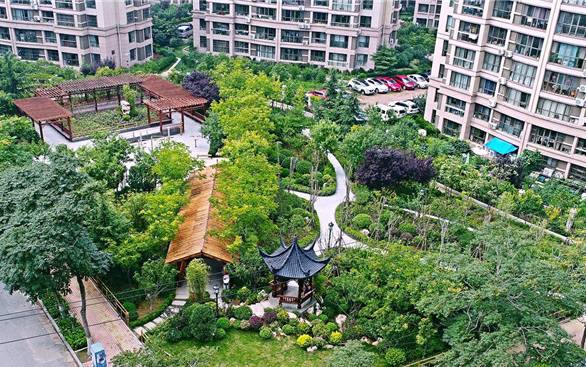 「整治」市北治理“城市斑秃”家门口遇上“口袋公园”