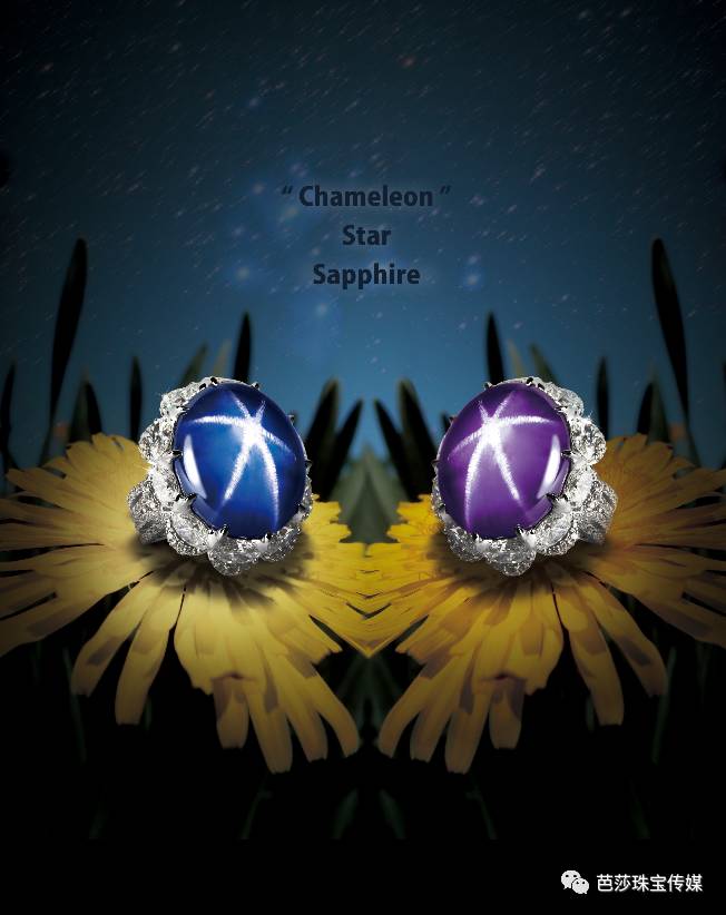 18亿全球最大星光蓝宝石 (价值1亿美元的神秘星光蓝宝石)