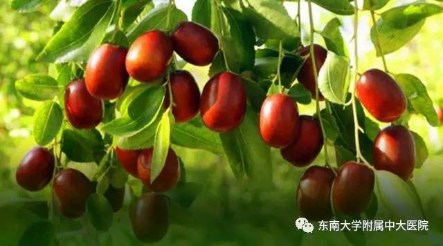 水果性格对照表,喜欢的水果判断性格测试