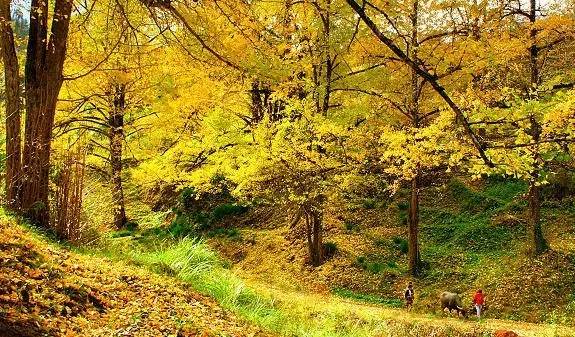 厉害了泉州全国前十,厉害了福建省