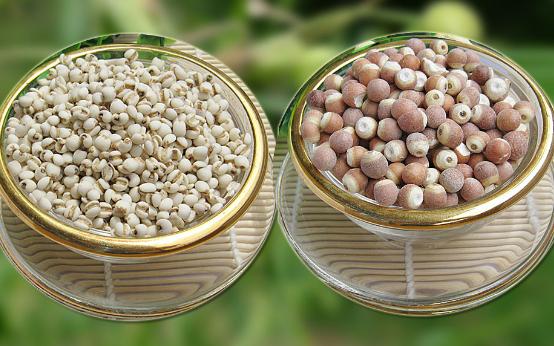 芡实整粒和两半的区别,芡实哪种好怎样挑选