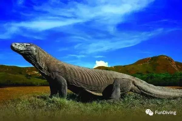 船宿推荐及价格,船宿推荐