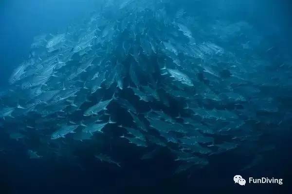 船宿推荐及价格,船宿推荐