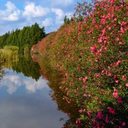 舟山开挂！三年后在舟山生活将变成这样……