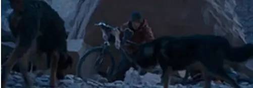 汪星人骑车,汪星人课堂防止狗狗走丢的小技巧